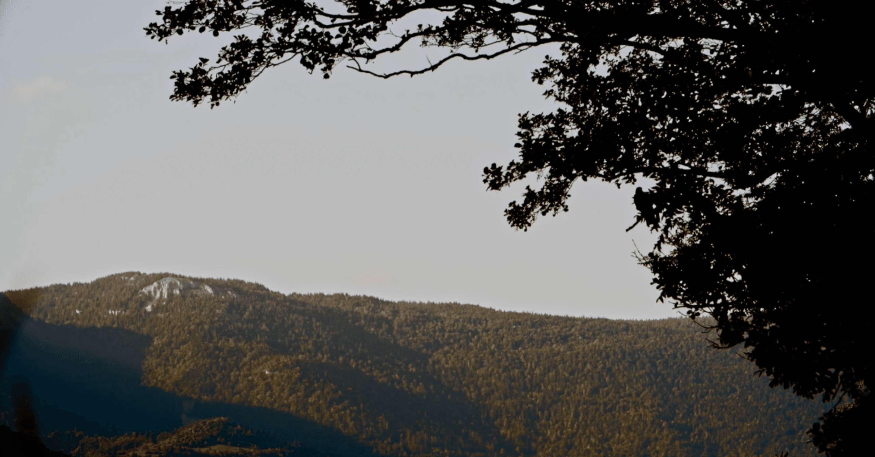 Imaginative Contemplation